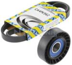 SNR Set curea transmisie cu caneluri SNR KA858.01 (KA858.01)