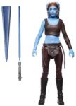 Hasbro Figurina Star Wars Episode III Black Series 20th Anniversary Aayla Secura 15 cm (JPT) Figurina
