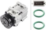HELLA Compresor, climatizare HELLA 8FK 366 202-991 (8FK 366 202-991) - fixbox