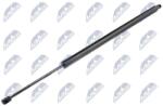 NTY Amortizor portbagaj NTY AE-WW-050 (AE-WW-050)