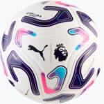 PUMA Focilabda PUMA Stellar Match PL Reactivity puma white