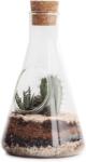 SUCK UK Terrarium Kit beltéri növénytermesztő készlet