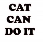 MGDesign Autós Matrica Cat Can Doit Felirat