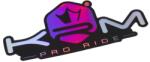 Krm Pro Ride matrica 80x40 mm lila holografikus (egyenként) KRM PRO RIDE Váz, idomok és járműkiegészítők Matricák és járműdekoráció Egyéb matricák és dekorációs elemek