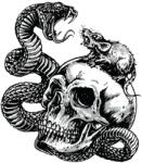 Lethal Threat Mini Skull Snake vs Rat matrica (60x80 mm) LETHAL THREAT Váz, idomok és járműkiegészítők Matricák és járműdekoráció Egyéb matricák és dekorációs elemek