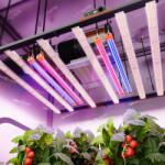 Spider Farmer UV és IR kiegészítő LED fénysávok növénytermesztéshez (60 cm)