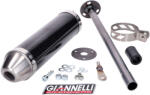 Giannelli Carbon hátsó hangtompító Derbi GPR 50 Nude, Racing 50, Aprilia RS 50 modellekhez Giannelli Kipufogórendszer Kipufogódobok és hangtompítók Komplett kipufogódobok és hangtompítók