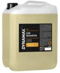 DYNAMAX Dxe1 - Autósampon 10kg