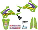 TECNOSEL Teljes Készlet Team Kawasaki 1998 TECNOSEL Váz, idomok és járműkiegészítők Matricák és járműdekoráció Egyéb matricák és dekorációs elemek