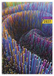 pd Calendar Határidőnapló Period Abstract A/5 napi Mystic papír 2027