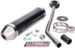 Giannelli Hátsó hangtompító Giannelli Carbon Aprilia RX, SX 50 2006 (D50B, EBE) számára Giannelli Kipufogórendszer Kipufogódobok és hangtompítók Komplett kipufogódobok és hangtompítók