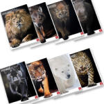 Pigna Тетрадка Pigna Animal Maxi А4 42л. Ред Мек (1120351-0233371-0C)