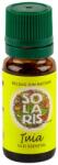 Solaris Ulei esential de tuia, 10ml, Solaris
