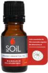 SOiL Ulei Esential Mandarina Pur 100% Organic, 10ml, Soil