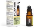 Pranarom Roll-on cu uleiuri esentiale Focus Bio, 5ml, Pranarom