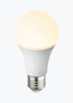 GLOBO Led fényforrás Globo 10767K E27 11W 1055lm 3000k (10767K)