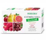 Herbária Gyümölcstea HERBÁRIA Mix 1. Alma-Körte-Grapefruit-Málna-Vadmeggy 20 filter/doboz - pcx