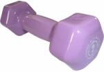 Power System Gantere Vinyl Dum 2 Kg Purple