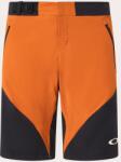 Oakley Pantaloni scurți Oakley Seeker Airline Short, ginger (32 (S))