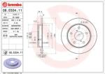 BREMBO Brake Disc - Lacqued 08. E534.11