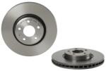 BREMBO Féktárcsa szellőző Ø318mm 09. D058.11