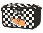 St. Majewski Három rekeszes St-majewski PC5 "Sleepy Corgi" tolltartó felszereléssel (komplett) (Sleep Corgi)