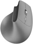 Hama EWM-700R Mouse