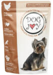 DOG JOY Hrană umedă pentru câini DOG JOY Adult cu pui 100 g (PF.00019)