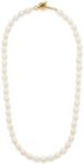 BERRIES lănțișor pentru femei Daisy Necklace 9BY2-AKDYO7_00X (NWA012)