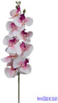  Phalenopsis ág K - Pink közepű