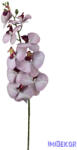 Phalenopsis ág K - Lila