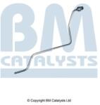 Bm Catalysts Conducta de presiune, senzor de presiune (filtru particule) BM CATALYSTS PP11784B (PP11784B)