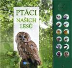 Andrea Pinnington Ptáci našich lesů