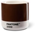 Pantone Cana PANTONE Macchiato - Maro 2322 (101012322)
