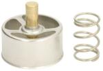 THERMOTEC Termostat, lichid racire THERMOTEC D2RV005TT (D2RV005TT)
