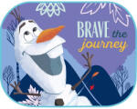 AMiO Parasolarele laterale, 2 buc, 44x35cm, FROZEN (AX_S9339)