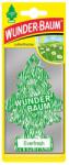AutoHelix MSA Odorizant Auto Bradut Wunder-baum Everfresh (aer Proaspat) (cx_7612720202942)