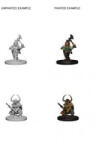 WizKids Dungeons and Dragons Nolzurs Marvelous Miniatures - Dwarf Female Barbarian (634482726457) Figurina