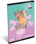 465 Füzet, tűzött, A5, szótár, 32 lap LIZZYSULI, "Lollipop Capybara", "31-32 (TICLFSZA5)