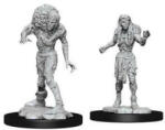 WizKids Dungeons & Dragons - Nolzurs Marvelous Miniatures - Drowned Assassin & Drowned Asetic (634482902424) Figurina