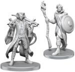 WizKids Critical Role - Mollymauk Tealeaf & Caduceus Clay (Unpainted) (634482907900) Figurina