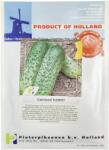 PPZ Seminte Castraveti FLORIST PPZ Olanda - 10 g (PR-103915)