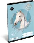 Lizzy Card Füzet A/5 2. osztály vonalas LIZZYSULI 32lap Wild Beauty Sport Club 16-32