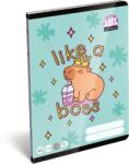 Lizzy Card Füzet A/5 2. osztály vonalas LIZZYSULI 32lap Lollipop CapyBara 16-32