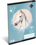 Lizzy Card Füzet A/5 sima LIZZYSULI 32lap Wild Beauty Sport Club 20-32