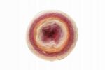 Schachenmayr Fonal Mohair Dream (00082) 150g 810m (00082)