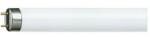 Philips Fénycső 1, 2m általános-hez T8 G13 36W 3100lm 840 13000h fehér PILA LF 36W/840 Cool White Philips - 927923284062 (927923284062)