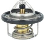 NRF Termostat, lichid racire NRF 725533 (725533)