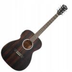 Washburn Df (efe) elektroakusztikus gitár (DF (EFE))