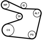 Continental Ctam Pompa apa + Set curea transmisie cu caneluri CONTINENTAL CTAM 6PK1555WP1 (6PK1555WP1)